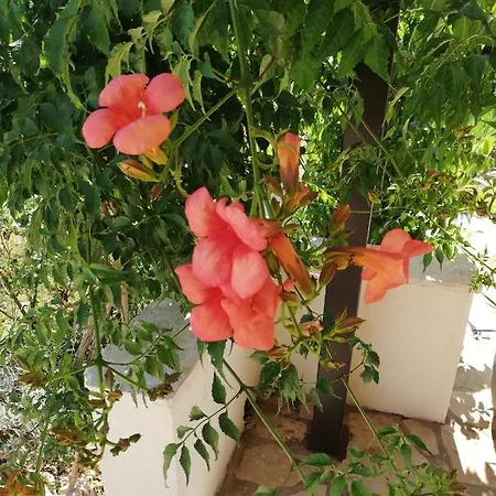 Casa Valeluna Villa Rovinj