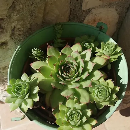 Casa Valeluna Willa Rovinj