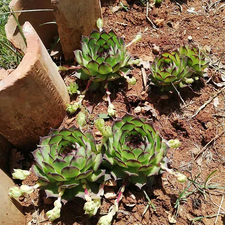 Casa Valeluna Rovinj
