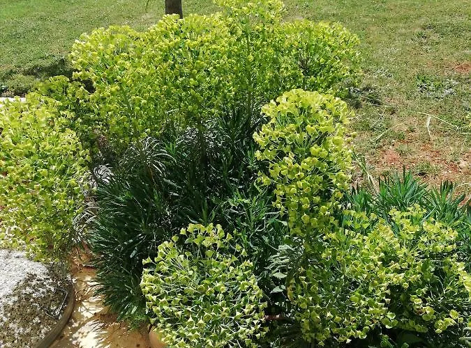 Casa Valeluna 빌라 로비니