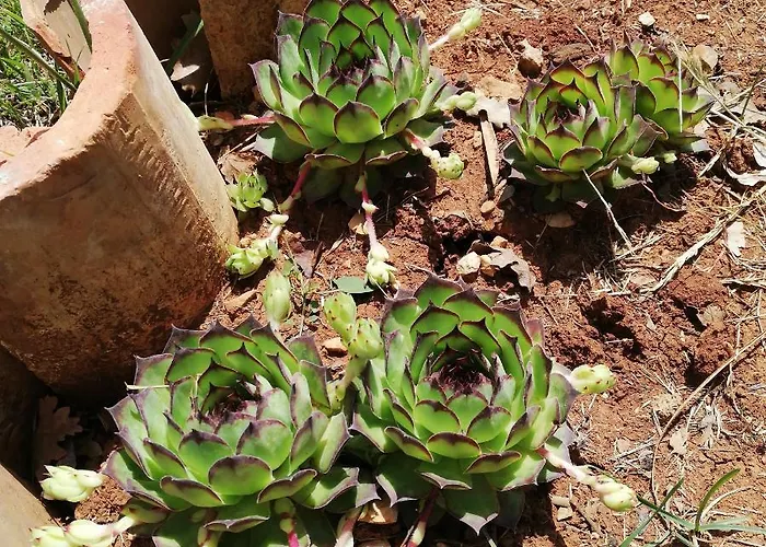 Casa Valeluna 로비니