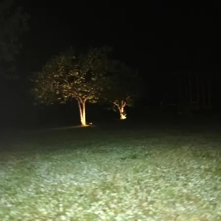 Βίλα Casa Valeluna Ρόβινι