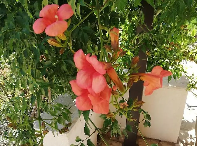 Casa Valeluna 빌라 로비니